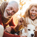 What investments are prohibited in an ira?